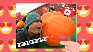The Biggest Pumpkin in Goebbert's Farm 2020