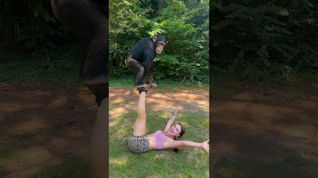 Monkey acrobatics🦍🩷💪🏼 