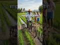 किसान का देसी जुगाड़! साइकिल बनी खेत की सुपर मशीन | #shorts #trending #farming