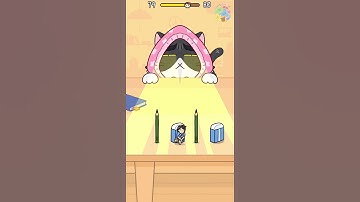 Hide and Seek: Cat Escape 😺 Level 79 🎱 Gameplay Walkthrough 🍊 #hideandseek #catescape  #gameplay