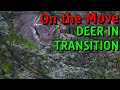 Hunting transition areas for deer