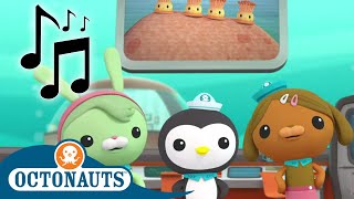 Octonauts - Activate Creature Reports | Songs! | Cartoons for Kids | Underwater Sea Education