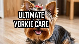 Yorkshire Terrier Care