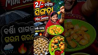 ମାତ୍ର ୨ ଟଙ୍କାରେ ମିନି ସିଙ୍ଗଡ଼ା 😱| ବର୍ଷା ପାଗକୁ ଗରମ ଗରମ Mini Samosa Recipe #shorts
