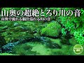 【日本の川音】深い山奥で柔らかく流れる眠りの川の音