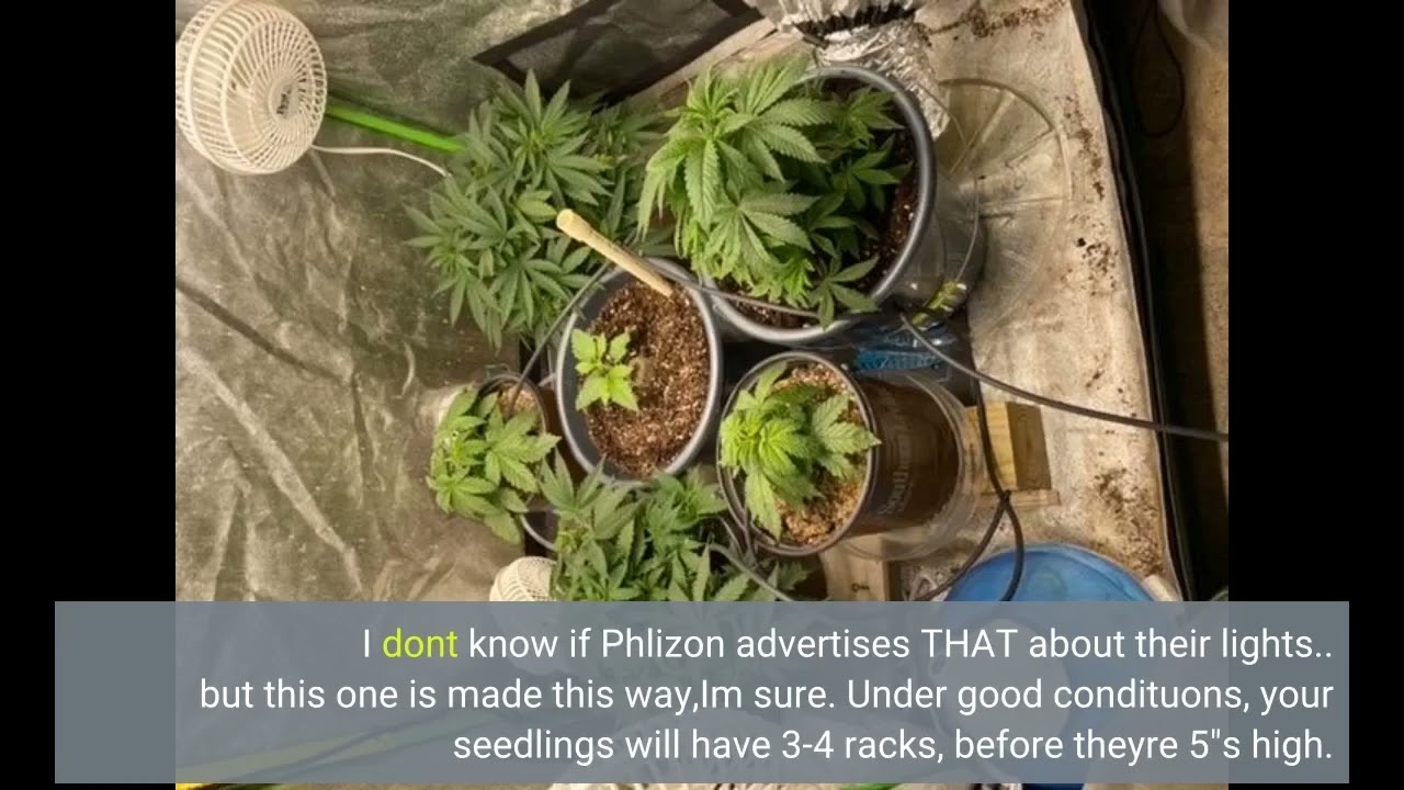 Phlizon Pro Series 3000W LED Grow Light 5x5ft-Overview