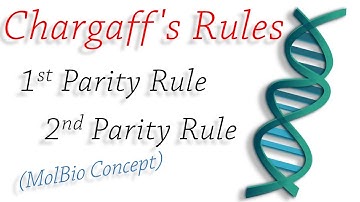 Concept|Chargaff