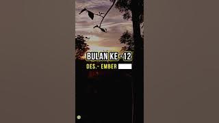 Story wa | Bulan Desember 2022 (story wa 30 detik)