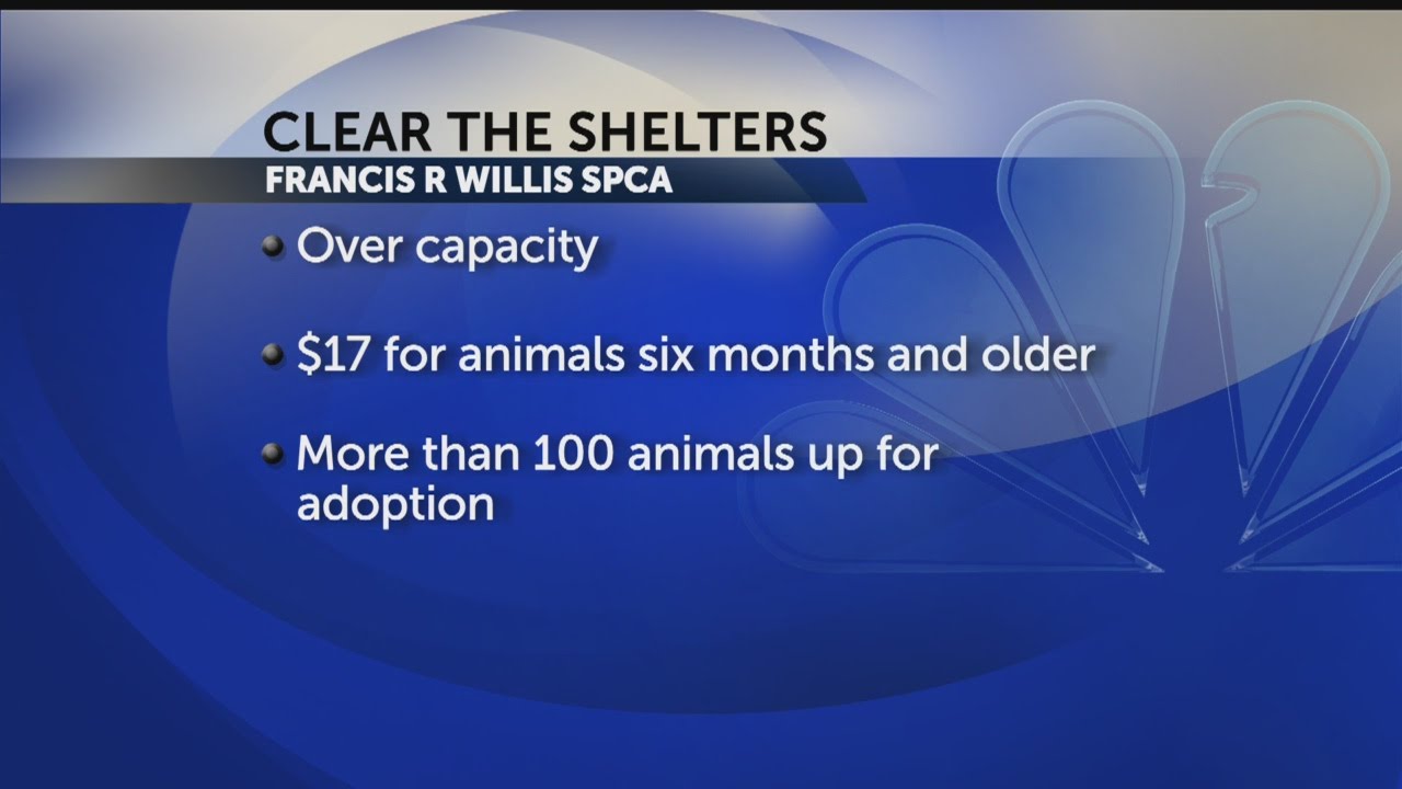Francis R. Willis SPCA hosting Clear the Shelters event - YouTube