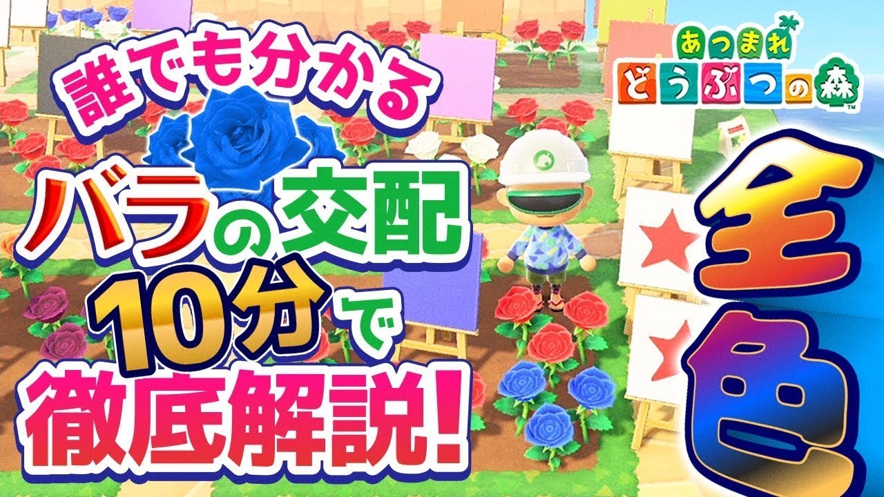 あつ森】誰でも分かるバラの交配 10分で徹底解説(全色)【あつまれ