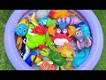 Explore Sea Animals for Kids | Exciting Ocean Adventure &amp; Playtime for Toddlers!