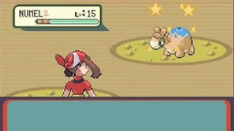 LIVE Shiny Numel After Only 376 REs!