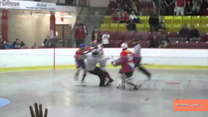 World Ball Hockey Player Loses It and Attacks Oppo...