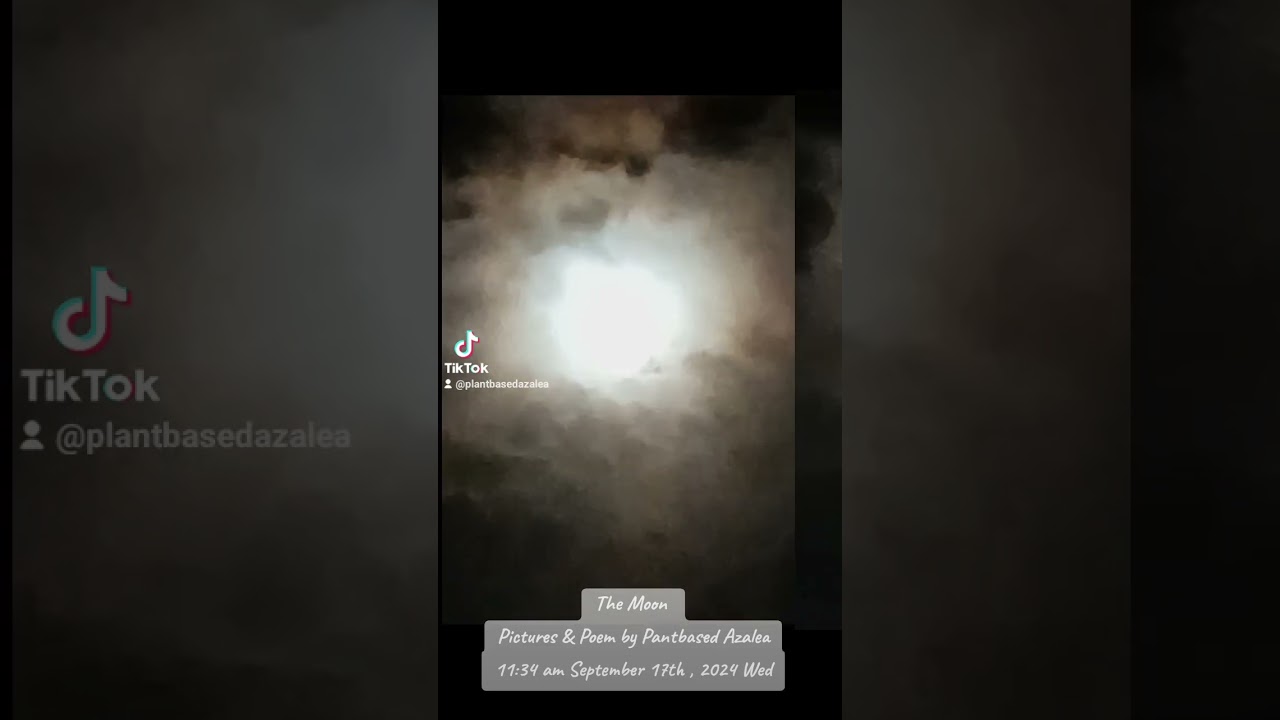 THE MOON Poetry & pictures by Plant Based Azalea  