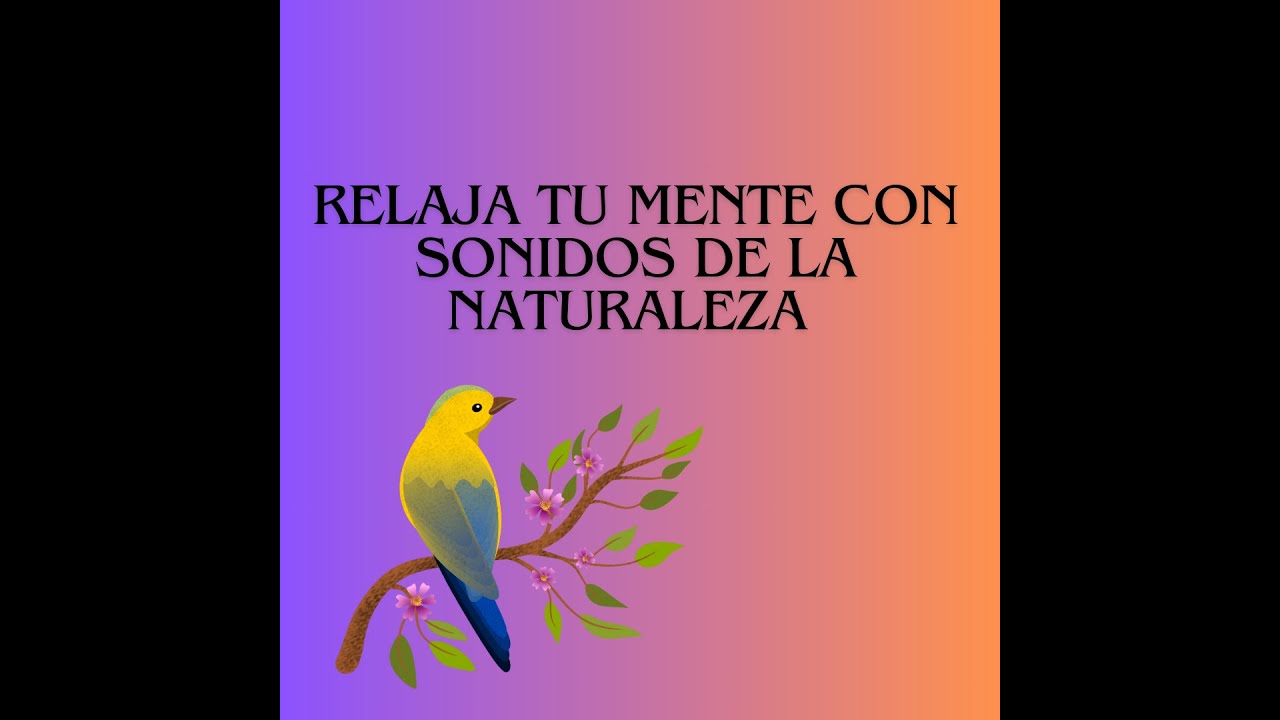 relaja tu mente con sonidos de la naturaleza - YouTube