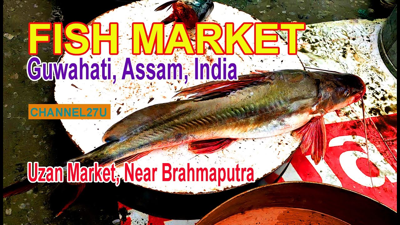 Fish Market at Guwahati Brahmaputra bank, Guwahati, Assam Brahmaputra