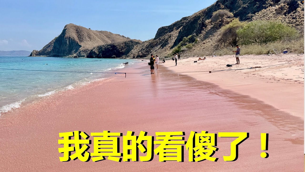 我低估了科摩多龍島｜粉紅沙灘真的存在，而且比想像誇張 !  This Is NOT Just Komodo Island｜Pink sand beaches really exist !