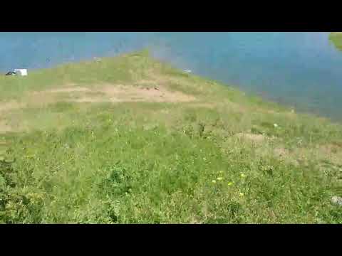 ninulia6093-4 ძლიერი მანქანა