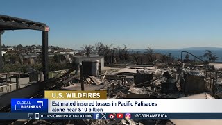 Global Business:  Wildfires Worsen California's Home Insurance Crisis