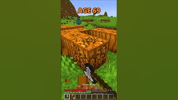 HOW TO ESCAPE TRAPS AT EVERY AGE🤯 IN MINECRAFT🤔(INSANE )😍 #shorts #minecraft