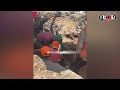 الكهرباء تكشف عن أعطال جديدة تؤجل عودة التيار إلى عدة مناطق بالجيزة الكهرباء تكشف عن أعطال جديدة تؤجل عودة التيار إلى عدة مناطق بالجيزة