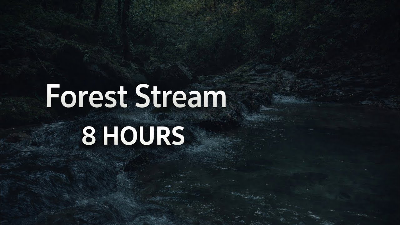 Forest Stream for Deep Sleep | 8 Hours | Night Forest Ambience