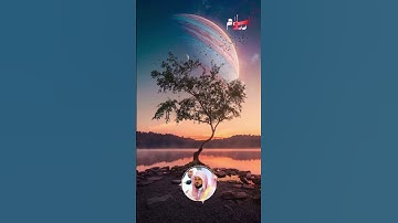 🤲 اللهم ارزق كل مشتاق الذرية الصالحة، وقر عينه بها في الدنيا  #القران_الكريم #تلاوات #ماريا_المعاني