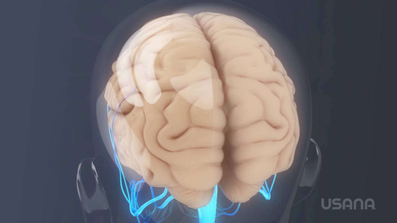Medical Animation: Optimal Nourishment au en| USANA Video