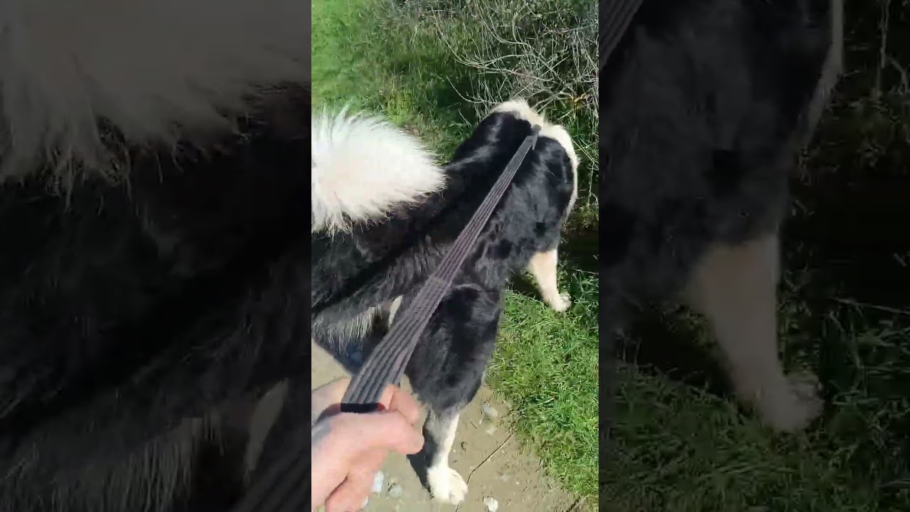 16 Φεβρουαρίου 2026