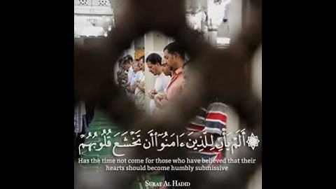 #محمد_النقيب #تلاوة_خاشعة #القران_الكريم #دينيات