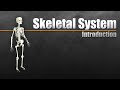 Introduction to the skeletal system in 7 minutes