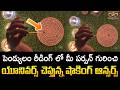 పెండ్యులం రీడింగ్ షాకింగ్ ఆన్సర్స్ | Pendulum Reading Secrets | Your Person’s Hidden Truth Revealed