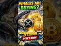 BTC, XRP &amp; DOGE Whales Are Buying?