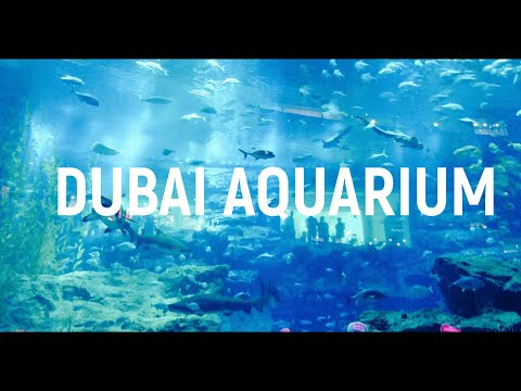 Exploring DUBAI AQUARIUM & UNDERWATER ZOO – DUBAI TOURISM TAMIL (Part-1)