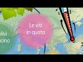 Cambiano il clima e l'agricoltura | RSI Info