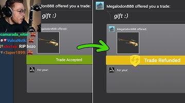this update killed CS2 skins...