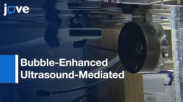 Synthesis: Phase-Shift Nanoemulsions For Acoustic Droplet Vaporization l Protocol Preview