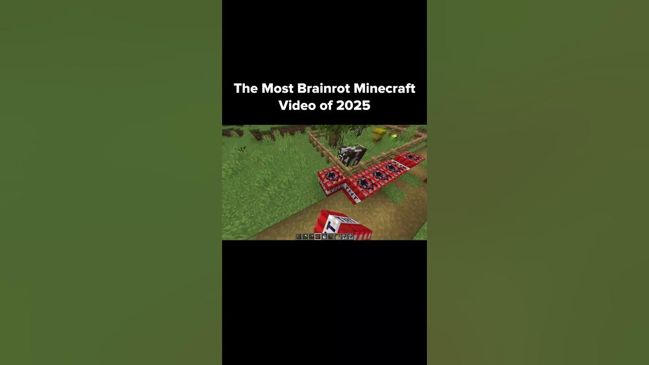 The Most Brainrot Minecraft Video of 2025 YouTube