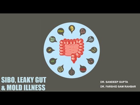 SIBO, Leaky Gut and Mold Illness with Dr. Farshid Rahbar - YouTube