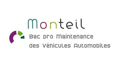 Maintenance des Véhicules Automobiles (BAC PRO MVA)