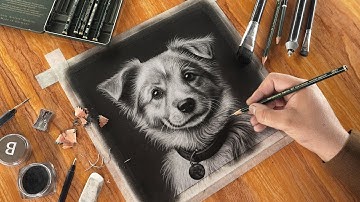 3 Easy Steps to Draw a Realistic Dog!