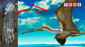 Rare Fossils Found Preserving the Scaly Skin of 150 Million-Year-Old Flying Reptiles