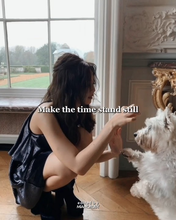 damn right - Jennie, kali uchis lyrics ! #kpop #blackpink #trending #jennie #goviral #foryou #fyp