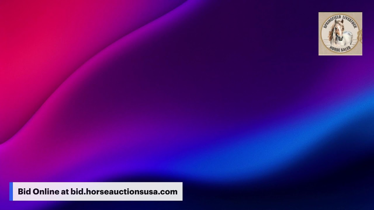 Springfield Livestock Horse Sales - Springfield, MO