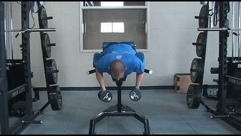 01 Back Extension Dumbbell Row