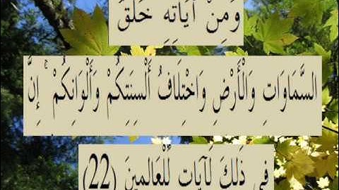 القران الكريم سورة الروم الأية 22.wmv