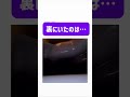 裏にいたのは…