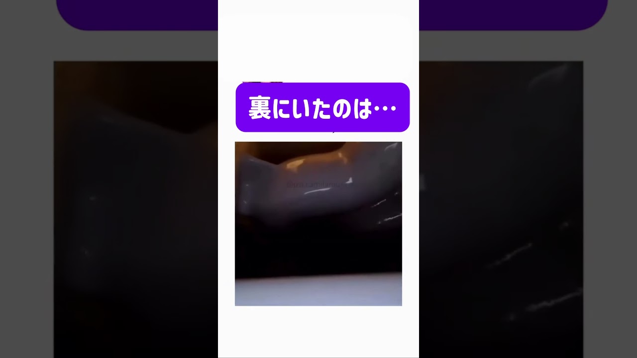 裏にいたのは…