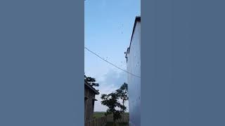 SERBU LMB GUNA SUARA BANUA WALET SULBAR 081355617799