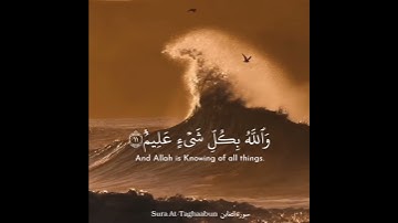 حالات واتس اب قرآن كريم //مقاطع دينية قصيرة // عمرالدريويز